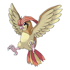 Collection image for: Pidgeotto