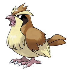 Collection image for: Pidgey