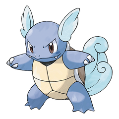 Collection image for: Wartortle