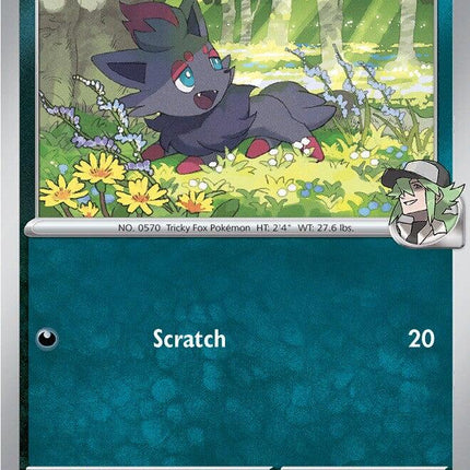 N's Zorua 136/217 Non-Holo Ascended Heroes Pokemon Card
