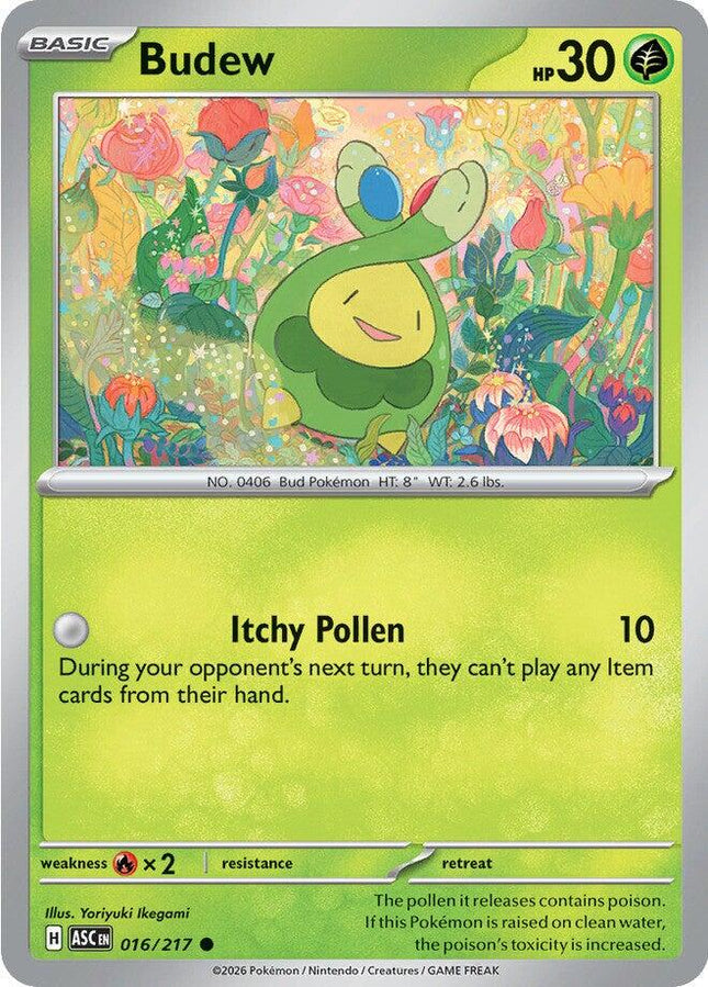 Budew 016/217 Non-Holo Ascended Heroes Pokemon Card