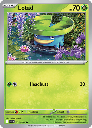 Lotad 005/094