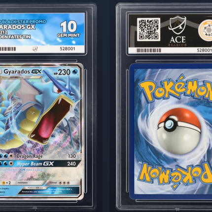 Gyarados GX SM212 – Hidden Fates Black Star Promo Ace Graded Gem Mint 10