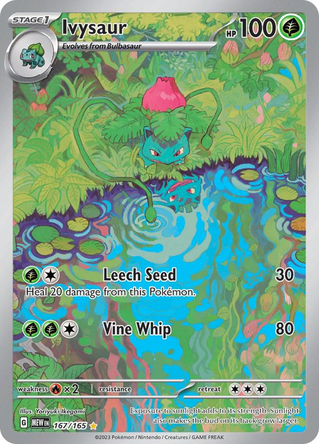 Ivysaur 167/165 Illustration Rare (IR) – Pokémon 151 | Pokémon TCG English