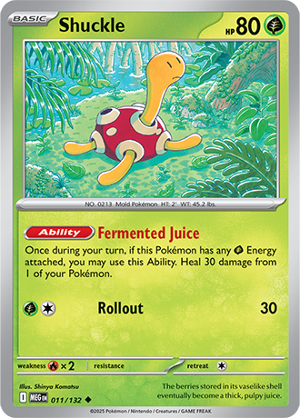 Shuckle 011/132
