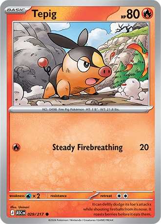 Tepig 029/217