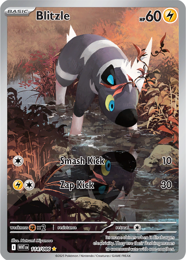 Blitzle 114/086 Illustration Rare White Flare Pokemon Card