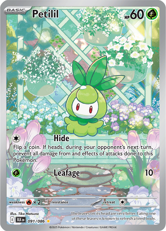 Petilil 091/086 Illustration Rare Black Bolt Pokemon Card